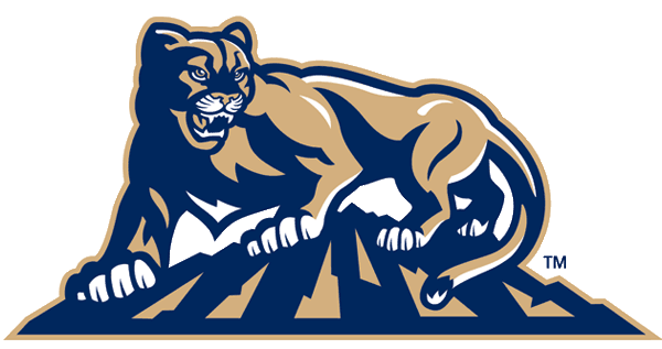 Brigham Young Cougars 1999-2004 Alternate Logo v2 iron on transfers for T-shirts